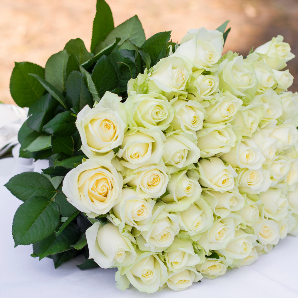 Fresh cut roses bundle