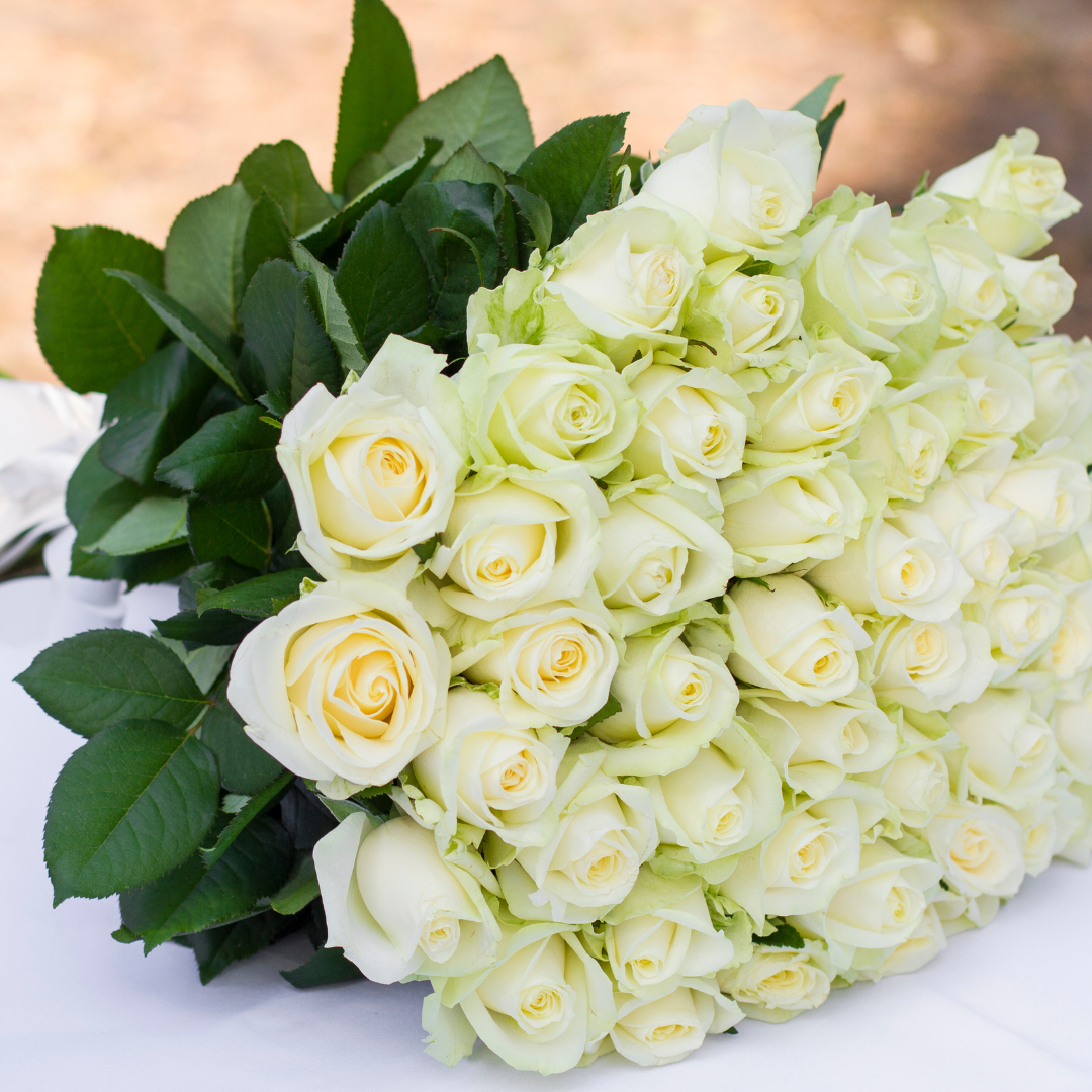 Fresh cut roses bundle