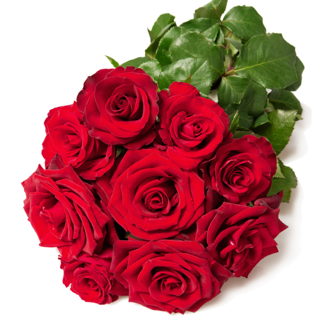 Fresh cut roses bundle