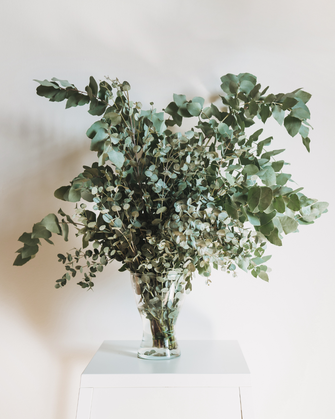 Eucalyptus Hand Tied Bouquet