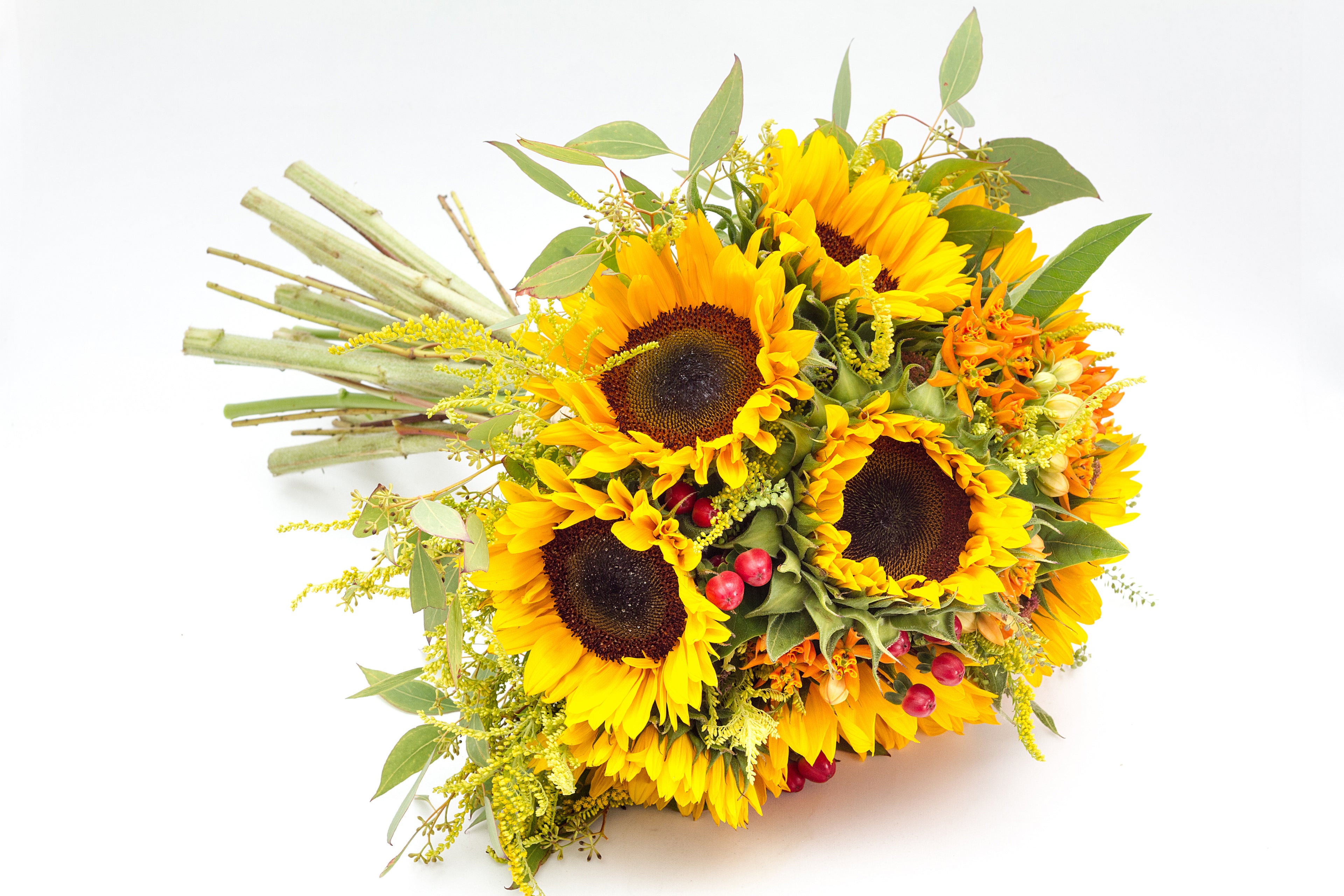Golden Harvest Hand-Tied Sunflower Bouquet